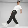 Puma TEAM Sweatpants Siyah Erkek Eşofman Altı