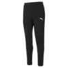 Puma EVOSTRIPE Core Pants Siyah Erkek Eşofman Altı