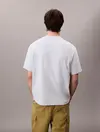Calvin Klein SS 16S RLXD FIT CKJ GRAPHIC TEE Mavi Erkek Tişört