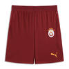Puma GSK Shorts Erkek Şort