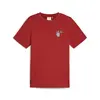 PUMA X ONE PIECE Graphic Tee Bordo Erkek T-Shirt