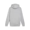 Puma MAPF1 Hooded Sweat Jacket Gri Erkek Sweatshirt