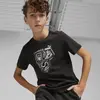 Puma GRAPHICS Year of Sports Tee Siyah Erkek T-Shirt & Polo
