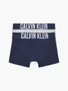 Calvin Klein 2PK TRUNKS Erkek Siyah Boxer Set