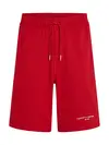 SMALL TOMMY LOGO SWE, XLD