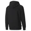 Puma Swxp Graphic Hoodie Siyah Erkek Hoodie