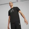 Puma TEAM Graphic Tee Siyah Erkek T-Shirt