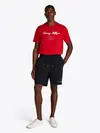 SMALL TOMMY LOGO SWE, DW5