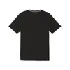 Puma SQUAD Big Graphic Tee Siyah Erkek T-Shirt