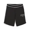 Puma SQUAD Shorts 9'' TR Siyah Erkek Şort