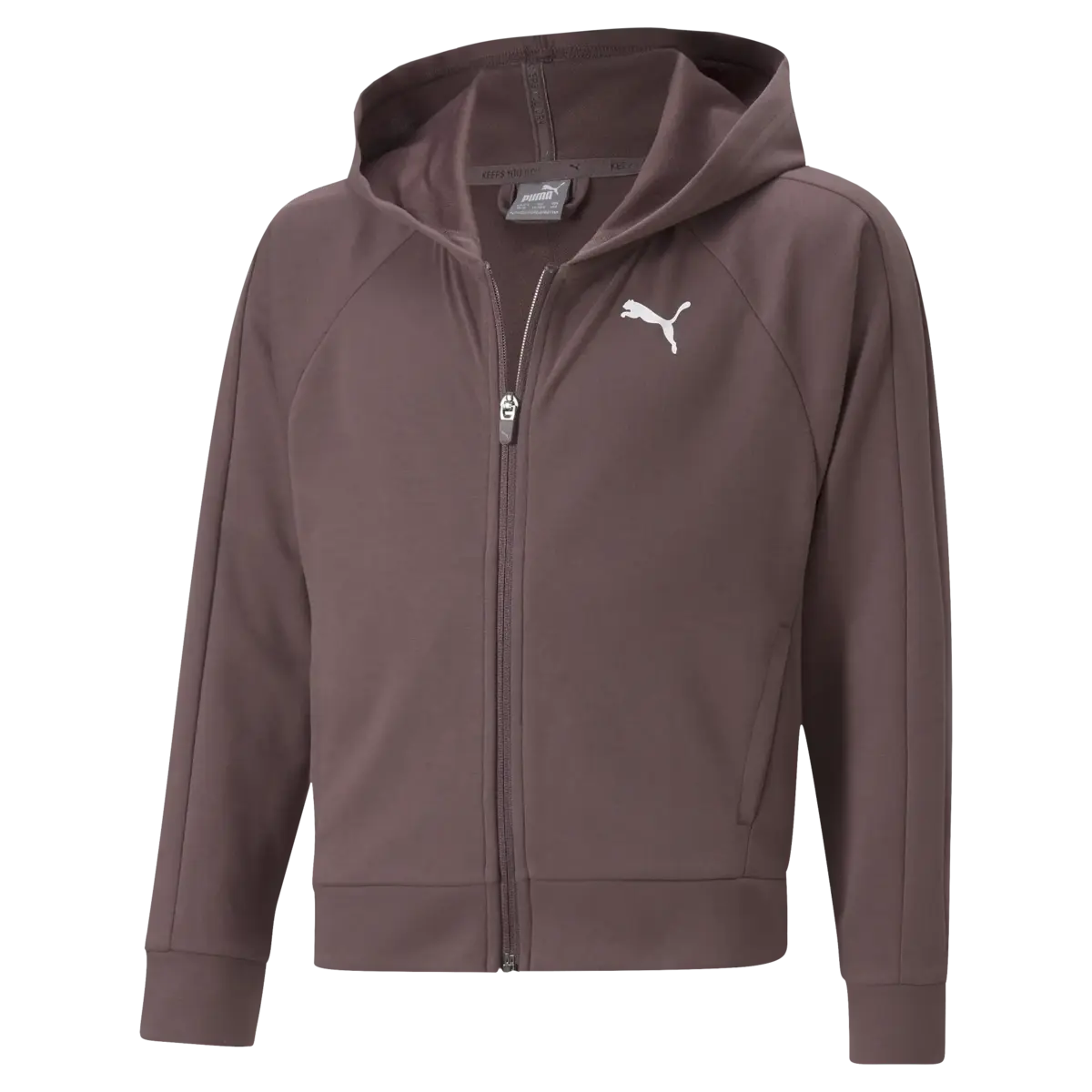 Puma Modern Sports FZ Hoodie Kahverengi Kız Çocuk Hoodie
