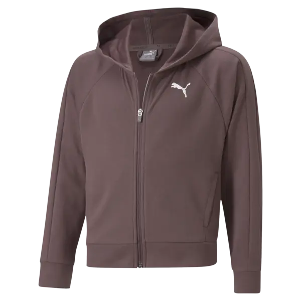 Puma Modern Sports FZ Hoodie Kahverengi Kız Çocuk Hoodie