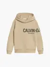Calvin Klein INST HERO LOGO HOODI Erkek Krem Hoodie