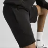 Puma EVOSTRIPE Shorts Siyah Erkek Şort