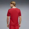 Puma SFV Home Jersey Erkek Forma