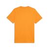 Puma GSK FtblESS Tee GALATASARAY FtblESSENTIALS Erkek Tişört