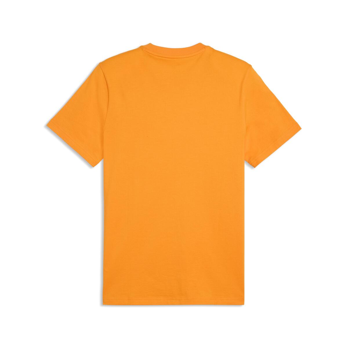 Puma GSK FtblESS Tee GALATASARAY FtblESSENTIALS Erkek Tişört