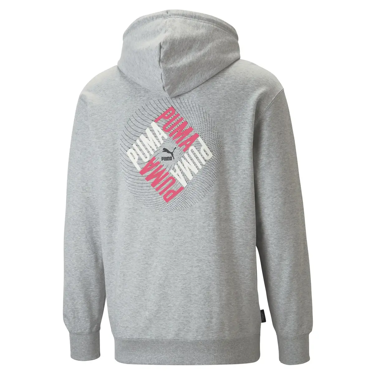 Puma Swxp Graphic Hoodie Gri Erkek Hoodie
