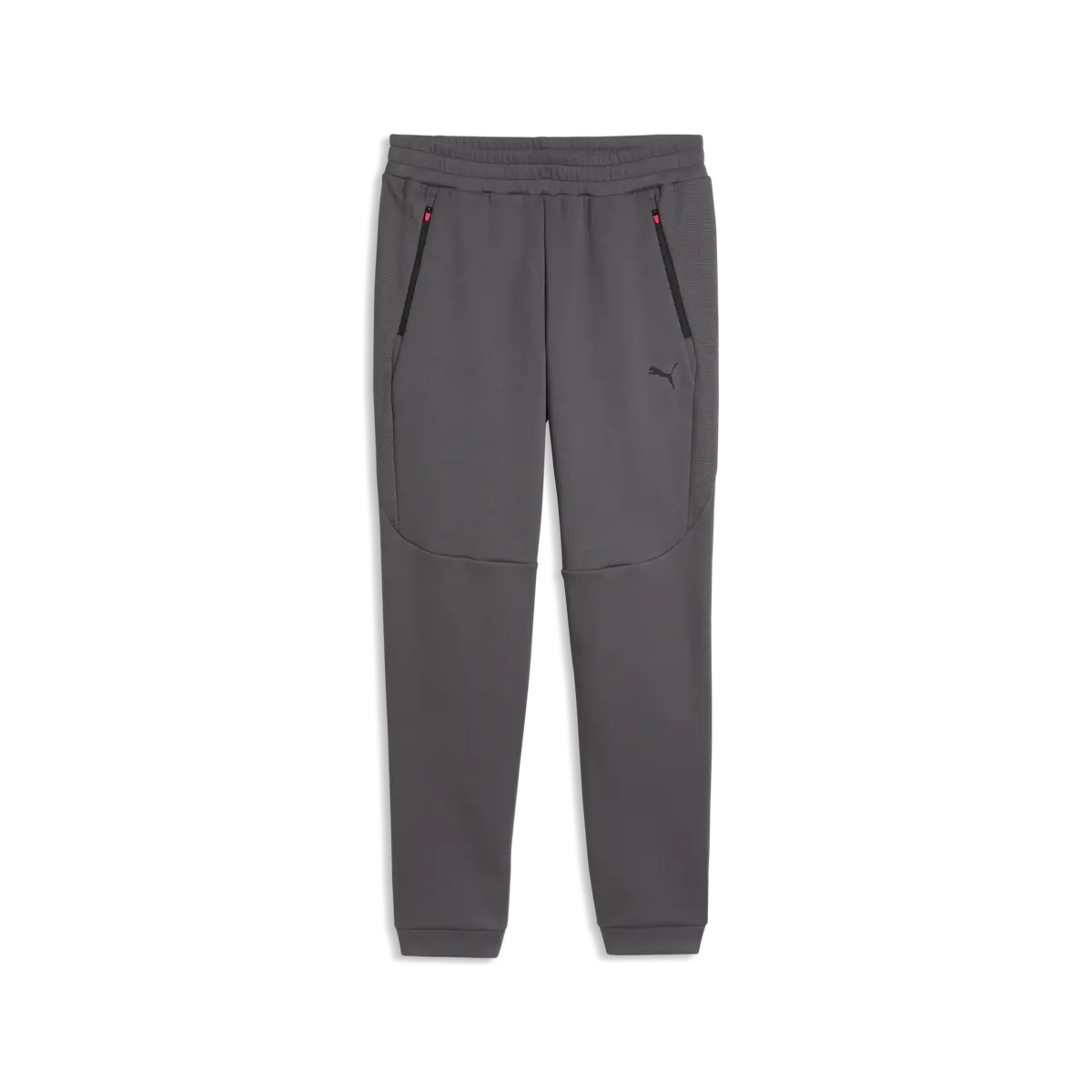 PUMA PUMATECH Pants Kahverengi Erkek Eşofman Altı