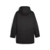 Puma teamFINAL Winter Jacket Siyah Erkek Mont