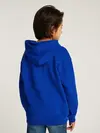 WAVING FLAG HOODIE, D03