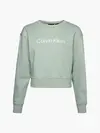 Calvin Klein PW - Pullover Kadın Mavi Sweatshirt