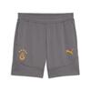 Puma GSK EVOSTRIPE Shorts GALATASARAY EVOSTRIPE Erkek Şort