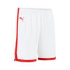 PUMA Turkey Game Short Beyaz Erkek Forma