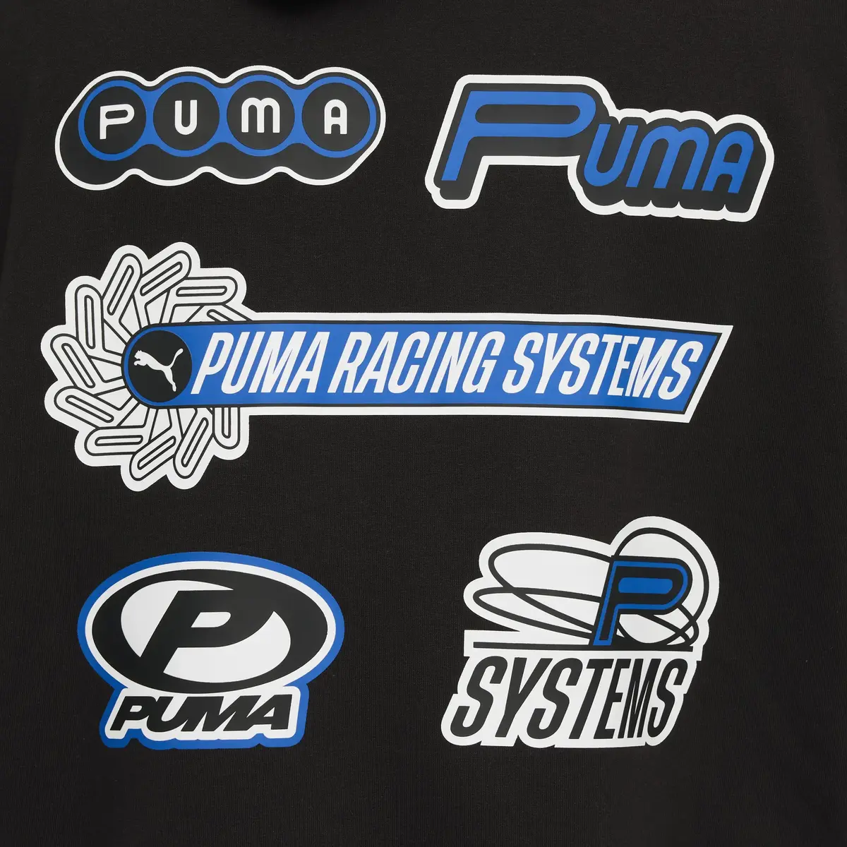 Puma FUTURE.PUMA.ARCHIVE Hoodie Siyah Erkek Hoodie