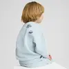 Puma X TROLLS Graphic Crew Mavi Erkek Sweatshirt