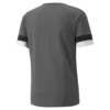 Puma teamRISE Jersey Erkek Forma