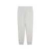Puma ESS Small No. 1 Logo Sweatpants TR cl Gri Kadın Eşofman Altı