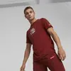 PUMA X COCA COLA Graphic Tee Kırmızı Erkek T-Shirt