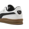 Puma Indoor Erkek Spor Ayakkabı & Sneaker