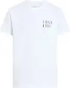 Calvin Klein OMBRE TEXT BOX TEE, YAF Beyaz Erkek T-Shirt & Polo