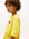 HILFIGER FLAG TERRY, ZGQ