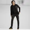 Puma EVOSTRIPE Full-Zip Hoodie Siyah Erkek Fermuarlı Ceket