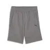 PUMATECH Shorts Gri Erkek Şort