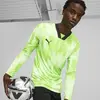 Puma teamTarget GK LS Jersey Yeşil Kaleci Uzun Kollu Forma
