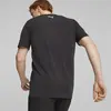 Puma EFS DriRelease Tee Siyah Erkek Koşu/Performans T-Shirt