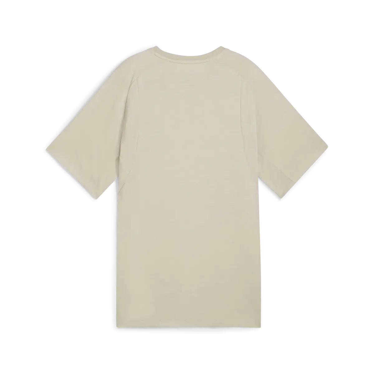 Puma EVOSTRIPE Tee Bej Kadın T-Shirt & Polo