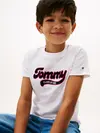 Tommy Hilfiger Varsity Interlock Knit Logo Beyaz Erkek Çocuk T-Shirt