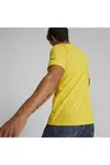 Puma Pl Graphic Tee 2 Sarı Erkek T-Shirt