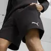 Puma EVOSTRIPE Shorts Siyah Erkek Şort
