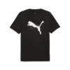 Puma DESERT ROAD Graphic Tee Siyah Erkek T-Shirt & Polo