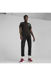 Puma GRAPHICS PUMA JUICERY Tee Siyah Erkek T-Shirt