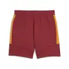 Puma GSK EVOSTRIPE Shorts Kırmızı Erkek Şort