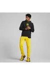 Puma Pl Graphic Hoodie Siyah Erkek Hoodie