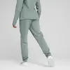 PUMA EVOSTRIPE Sweatpants Yeşil Kadın Eşofman Altı