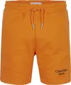 Calvin Klein STACKED LOGO RELAXED Erkek Turuncu Şort